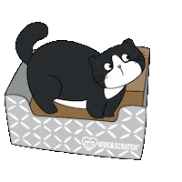 Fat Cat Sticker by Hide & Scratch