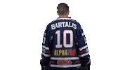 Ice Hockey Sticker by Fehervar AV19
