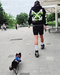 Jg Joon GIF