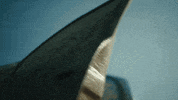 Happy Monster Truck GIF by HORNBACH