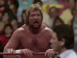 wrestlemania vii wrestling GIF by WWE
