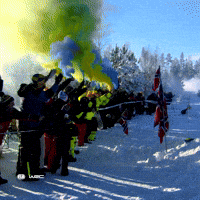 Rallying Rally Sweden GIF by FIA World Rally Championship