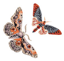 Archives Sticker by CRIS BARROS OFFICIAL