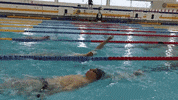 GIF by The University of Bath