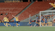 Womens Soccer Sport GIF by National Women's Soccer League