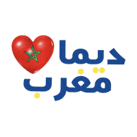 Promo Morocco Sticker by marjane