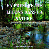 Business Canada GIF by PIMP TA MARQUE