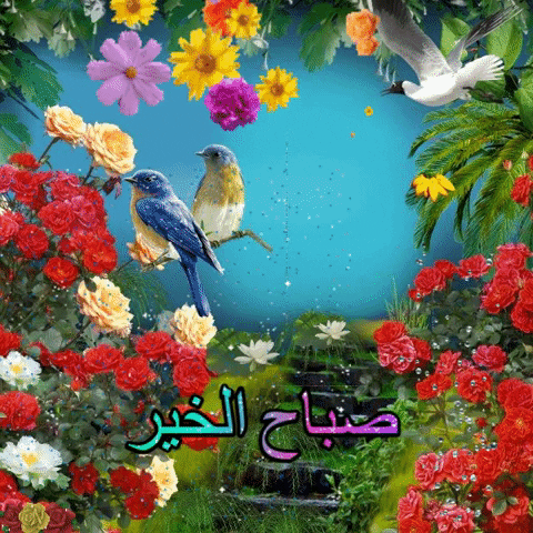ahmedmohamed-1a88 giphygifmaker giphyattribution صباح الخير صباح الورد GIF