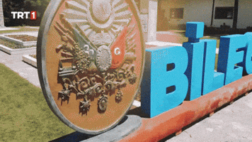 Ottoman Empire Logo GIF by TRT