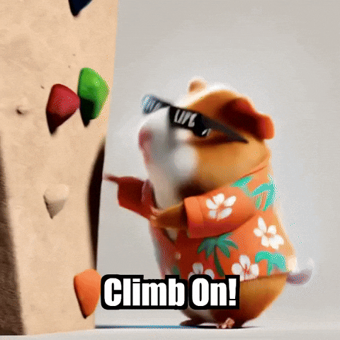 Climb On Guinea Pig GIF by Guinea Gambino