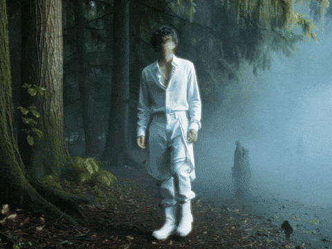 Dont Blame Me GIF by Kansh