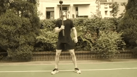 setforset giphygifmaker GIF