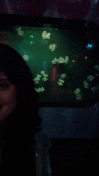 Fish Tank GIF