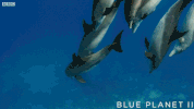 bbc one sea GIF by BBC