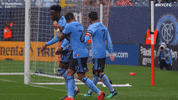 GIF by NYCFC