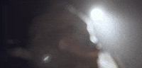 georgia football GIF by University of Georgia