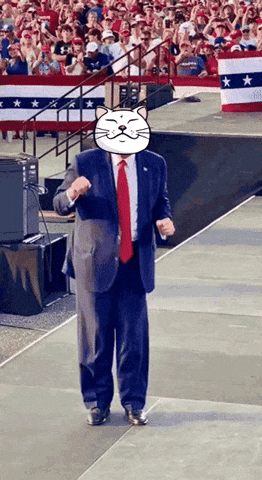 Happy Dance GIF by ShiroNeko