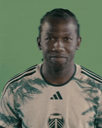 Mls Portland GIF by Timbers