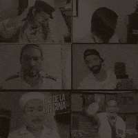 GIF by Acción Impro