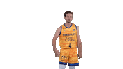Liga Endesa Basketball Sticker by ACB