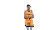 Liga Endesa Basketball Sticker by ACB