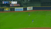 Chicago Cubs Win GIF by NBC Sports Chicago