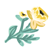 happy rose Sticker by Ivo Adventures