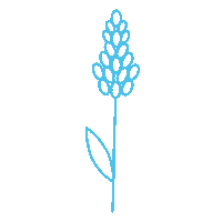 Mediterranean Botanicals Sticker by Mataroa Gin