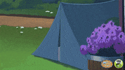 Camping Molly Of Denali GIF by PBS KIDS