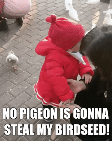 darob-giphy giphygifmaker giphyattribution girl pigeon GIF