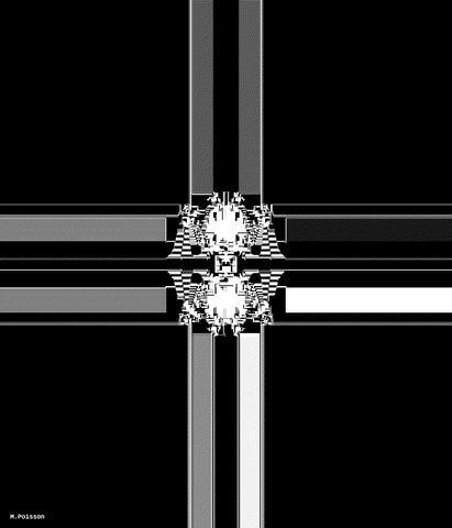 b&w art GIF by Michel Poisson