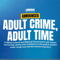 Crime GIF by Nicole Werner MP