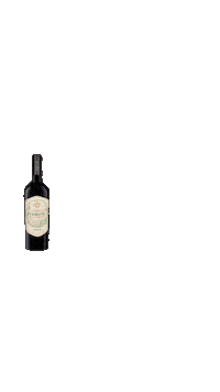 Wine Vino Sticker by Errazuriz Wines