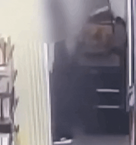 0d0e9c040cdb4b378f8218152e9c7143 giphyupload GIF