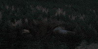 under the skin GIF by A24