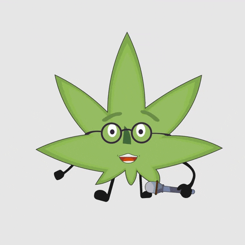 greenbrothers giphyupload cannabis maconha greenbrothers GIF