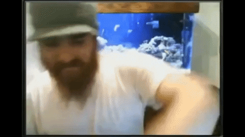 yj_jane giphygifmaker GIF