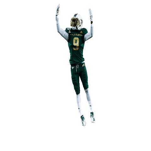 Usf Football Sticker by SoFloBulls