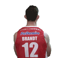 Brandt Legabasket Sticker by Pistoia Basket