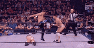 All Elite Wrestling GIF by AEWonTV