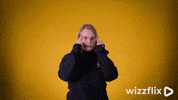 Wizzflix_ glasses eyebrows sliding anne GIF
