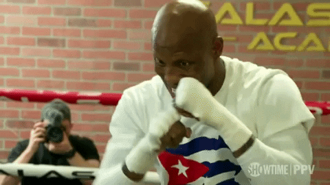 Sport Boxing GIF by SHOWTIME Sports