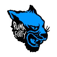 State Of Origin Nsw Sticker by PUMA Footy