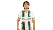 Come Borussia Moenchengladbach Sticker by Bundesliga