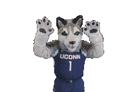magic wow Sticker by UConn Huskies