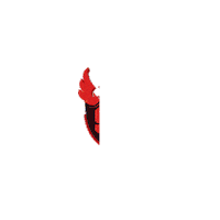 birikimokullari eğitim okul birikim birikim okulları Sticker