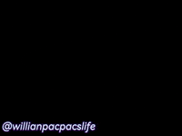 Willianpacpacslife GIF