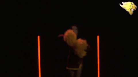 GIF by CUCougars