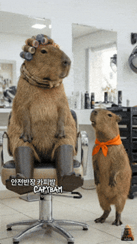 Money Please GIF