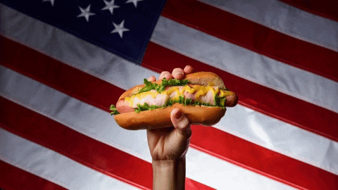 sas___ giphygifmaker giphyattribution GIF